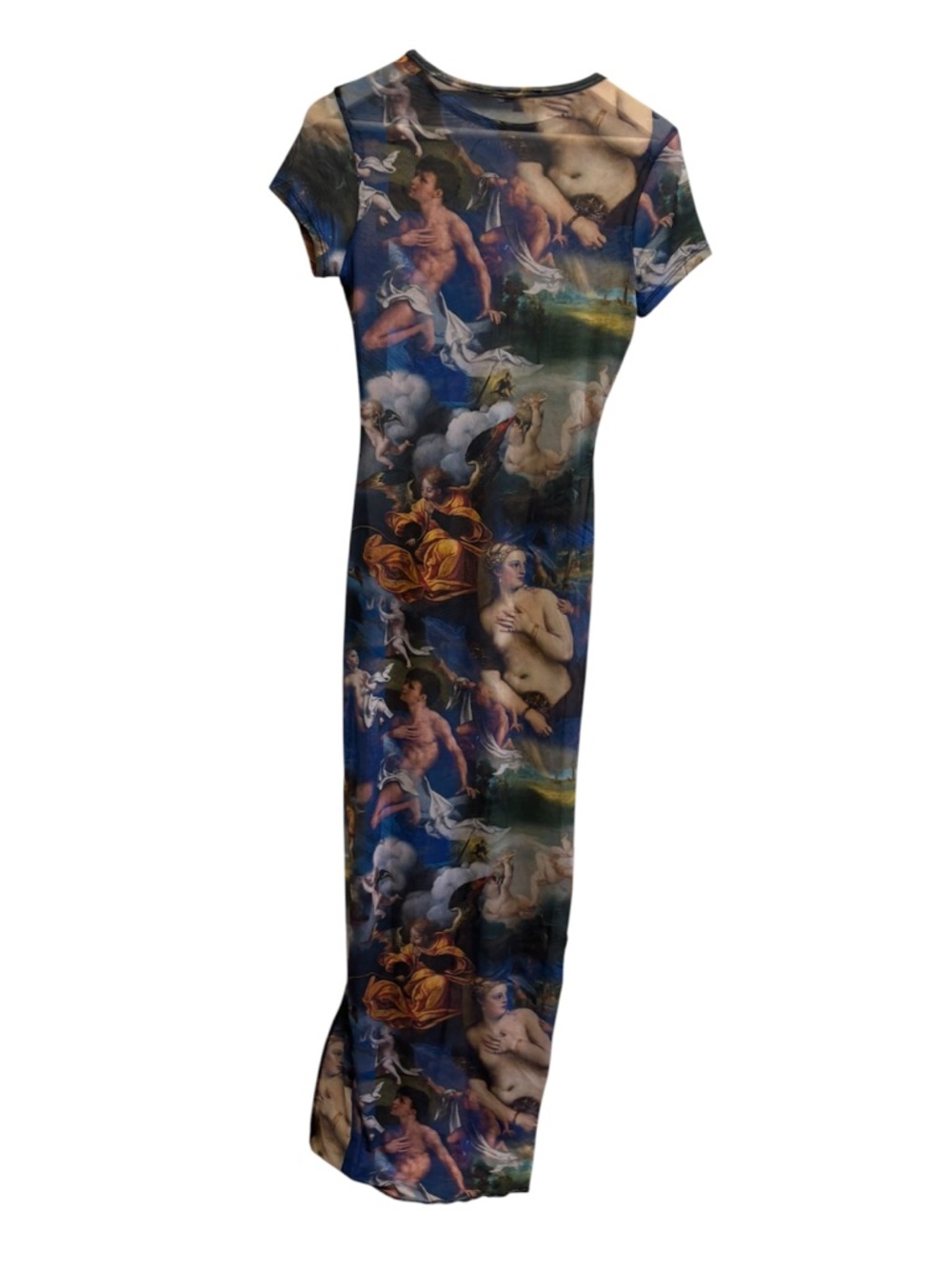 Fashion Nova Renaissance art mesh maxi dress 🎨 - Picture 4 of 6